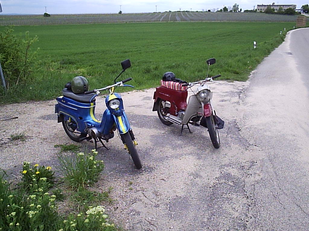 P1011705.JPG